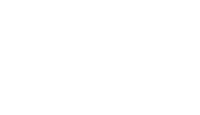 Fleet Mind